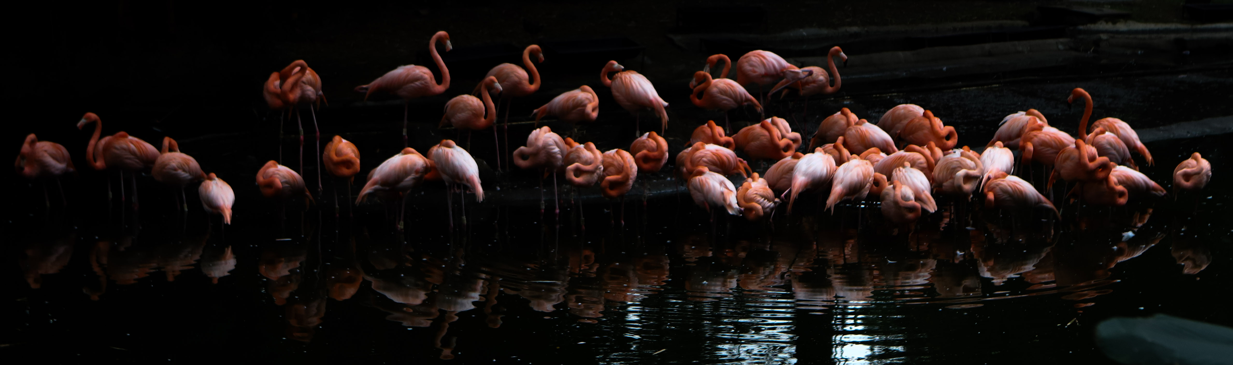 Naturaleza — Inaldo Pérez