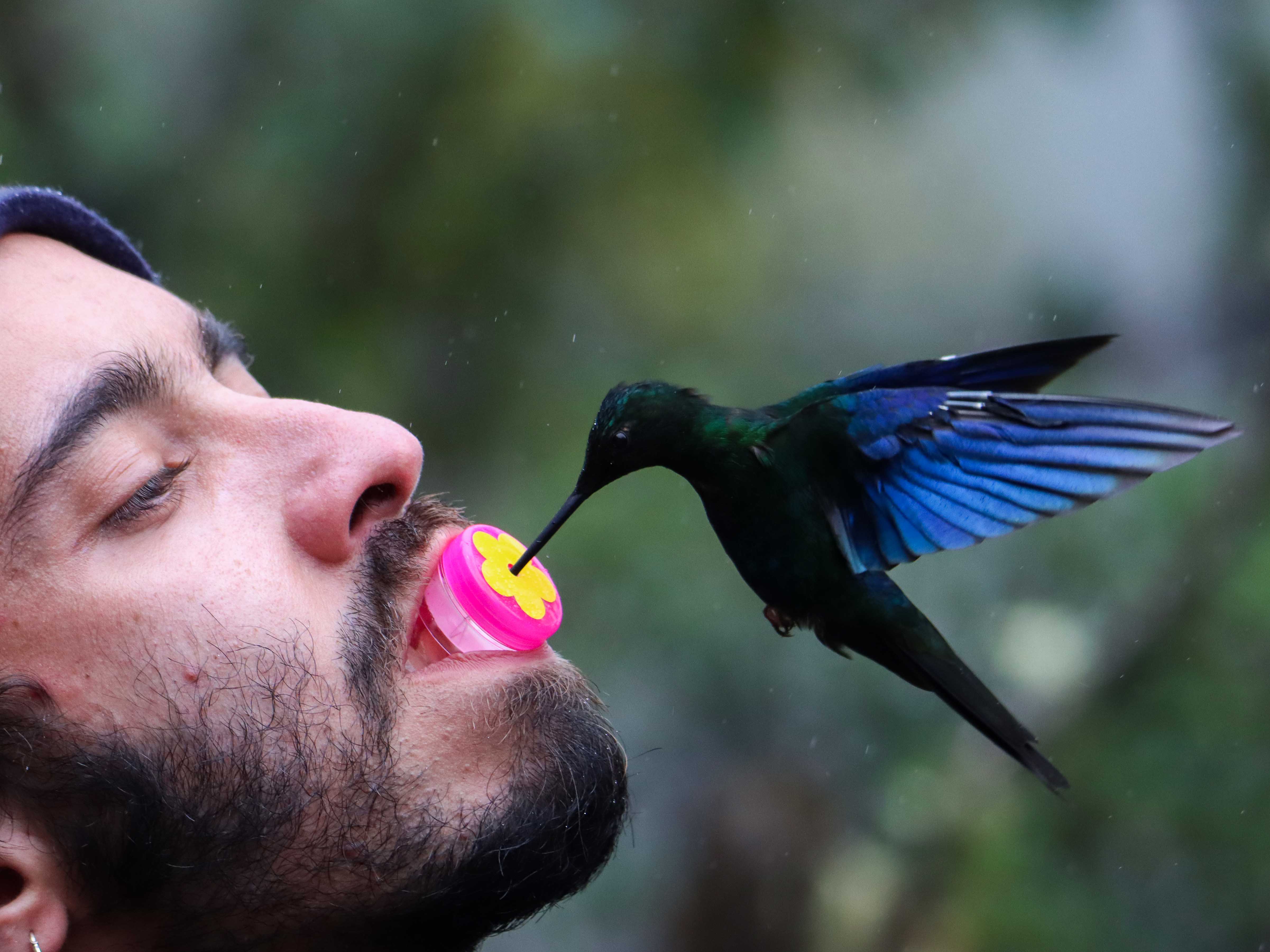 Naturaleza — Inaldo Pérez