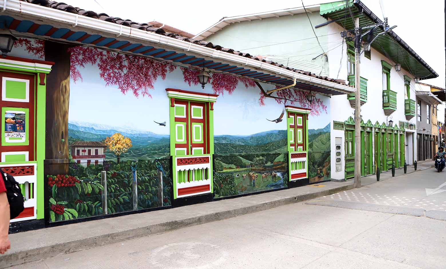 Paisajes — Inaldo Pérez