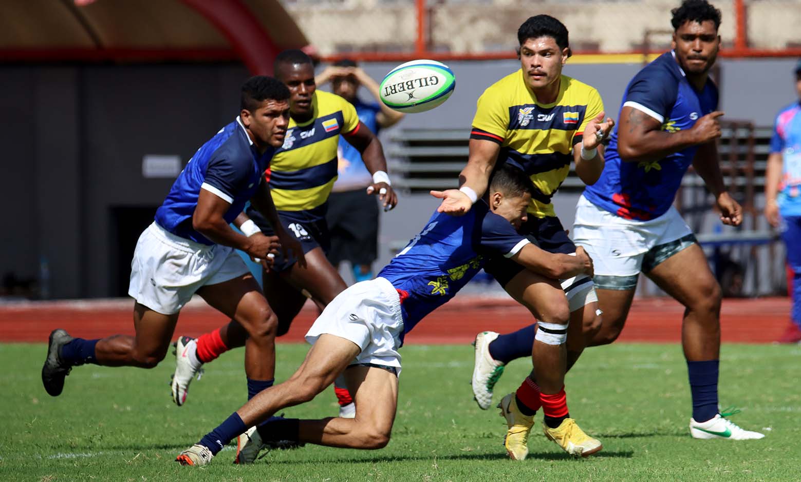 Rugby — Inaldo Pérez