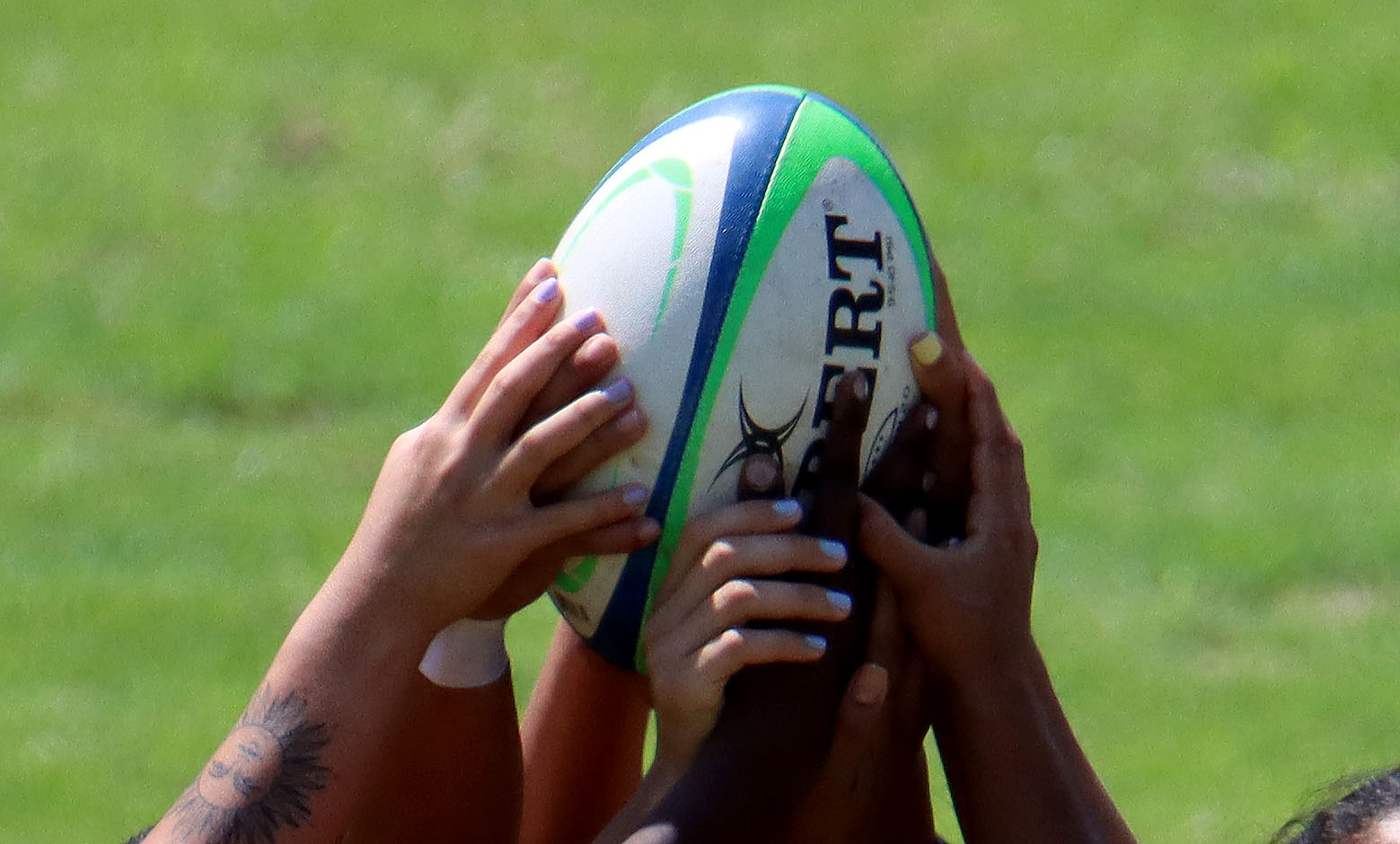 Rugby — Inaldo Pérez